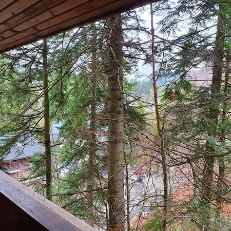 Mikerynos 1 Apartment Sinaia Exterior photo